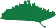 Hamsapadi